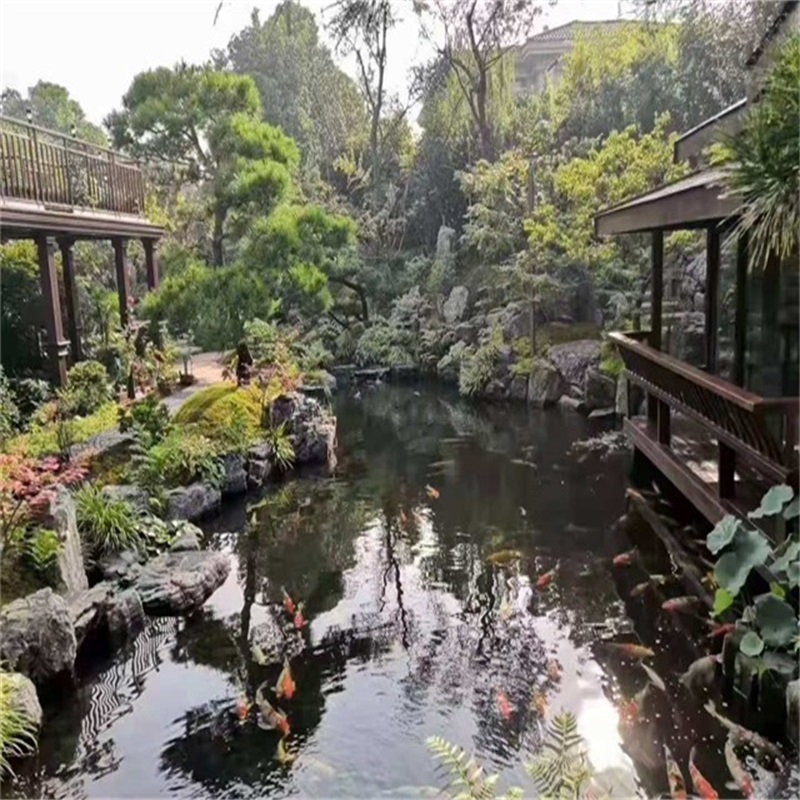 泗洪假山植物小鱼池